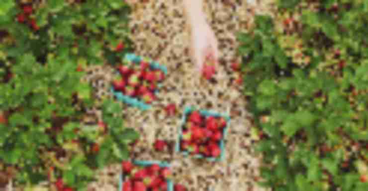 Things to Do in Bergen County Week of June 7