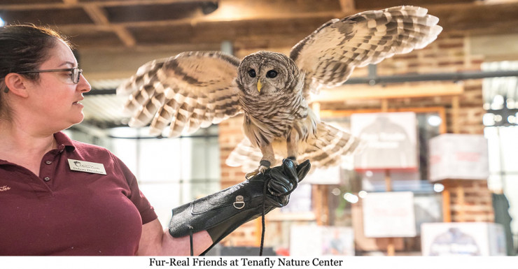 Things to Do in Bergen County Week of January 24