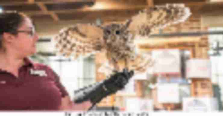 Things to Do in Bergen County Week of January 24