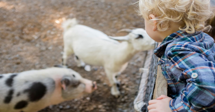 Things to Do in Bergen County Week of October 11