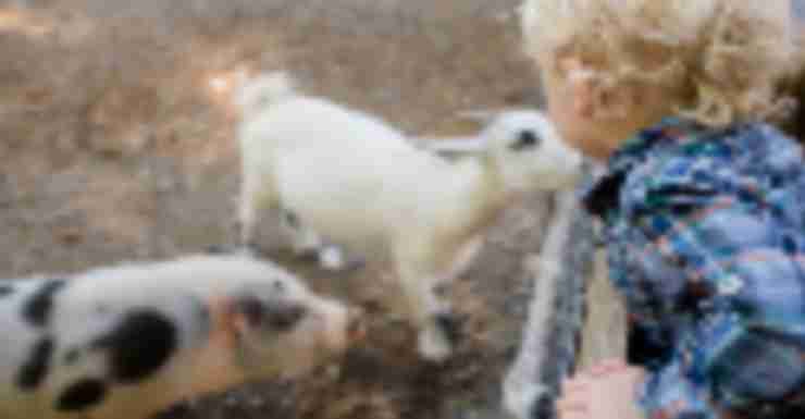 Things to Do in Bergen County Week of October 11