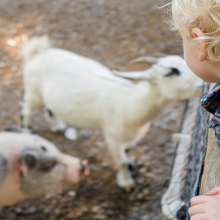 Things to Do in Bergen County Week of October 11