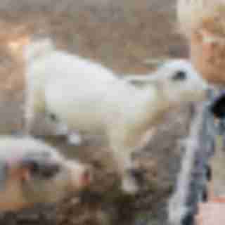 Things to Do in Bergen County Week of October 11