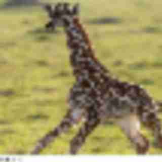 Things to Do in Bergen County Week of February 22