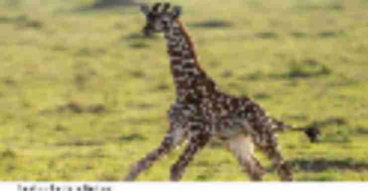 Things to Do in Bergen County Week of February 22