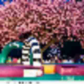 Things to Do in Bergen County Week of May 2