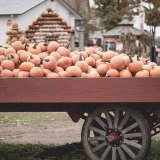 Things to Do in Bergen County Week of October 5