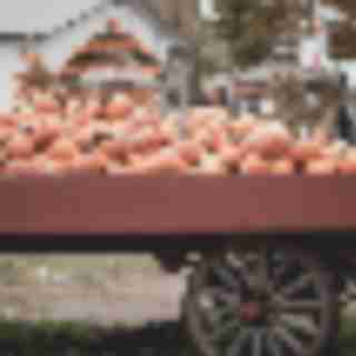 Things to Do in Bergen County Week of October 5