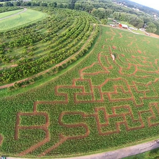 Things to Do in Bergen County Week of September 1