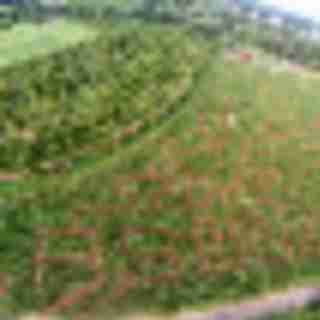 Things to Do in Bergen County Week of September 1