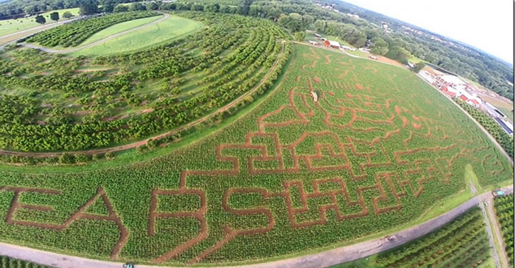 Things to Do in Bergen County Week of September 1