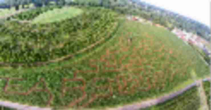 Things to Do in Bergen County Week of September 1