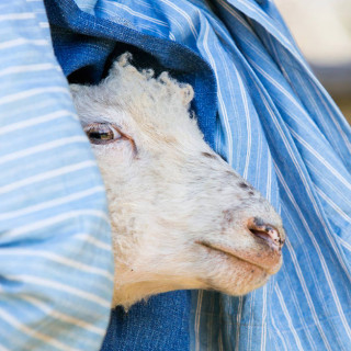 Things to Do in Bergen County Week of April 19