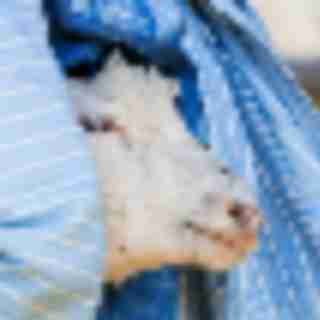 Things to Do in Bergen County Week of April 19