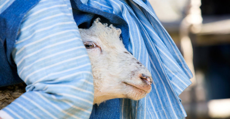 Things to Do in Bergen County Week of April 19