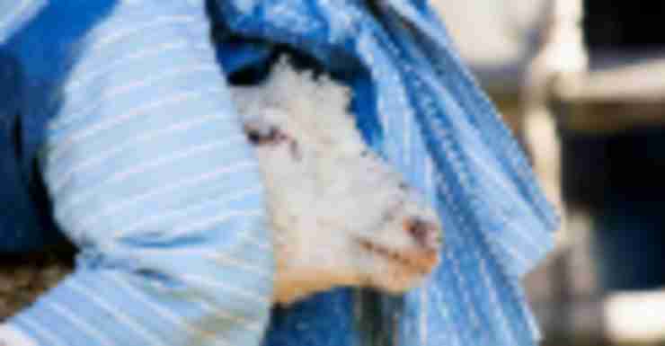 Things to Do in Bergen County Week of April 19