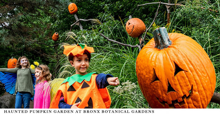 Things to Do in Bergen County Week of October 18