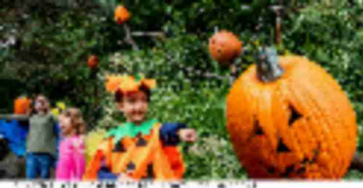 Things to Do in Bergen County Week of October 18