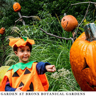 Things to Do in Bergen County Week of October 18