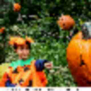 Things to Do in Bergen County Week of October 18