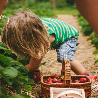 Things to Do in Bergen County Week of June 1