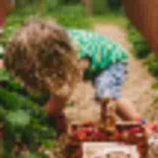 Things to Do in Bergen County Week of June 1