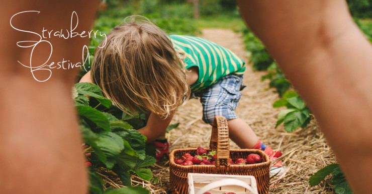 Things to Do in Bergen County Week of June 1