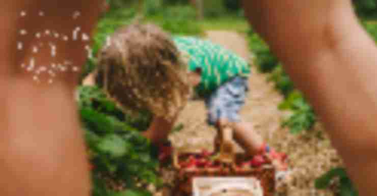 Things to Do in Bergen County Week of June 1