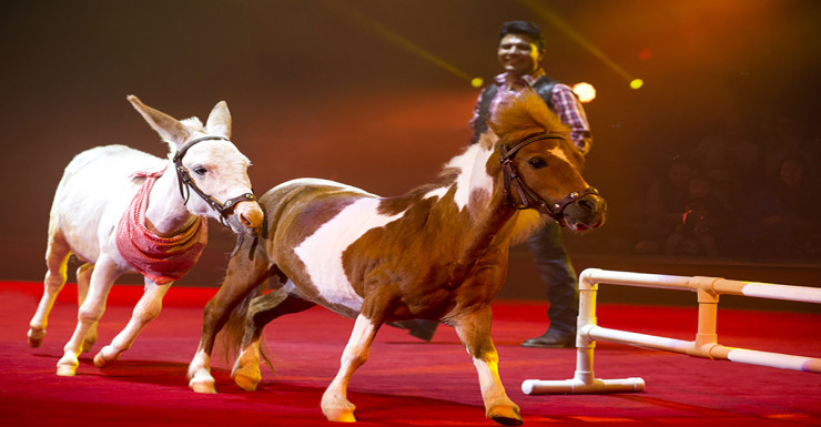 Things to Do in Bergen County Week of September 27