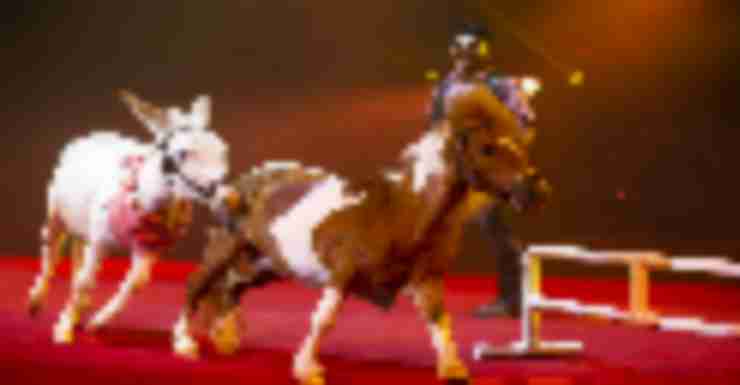 Things to Do in Bergen County Week of September 27