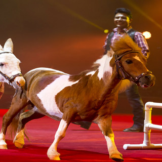 Things to Do in Bergen County Week of September 27