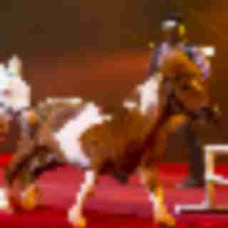 Things to Do in Bergen County Week of September 27