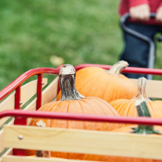 Things to Do in Bergen County Week of October 13