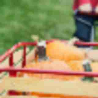 Things to Do in Bergen County Week of October 13