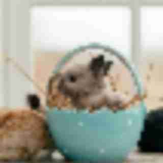 Things to Do in Bergen County Week of March 17th