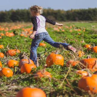 Things to Do in Bergen County Week of October 20