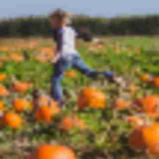 Things to Do in Bergen County Week of October 20