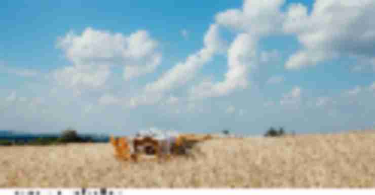 15 Things to Do to Make this the Best Summer Ever