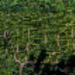 Things to Do in Bergen County Week of August 17