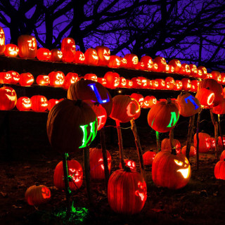 Things to Do in Bergen County Week of October 27