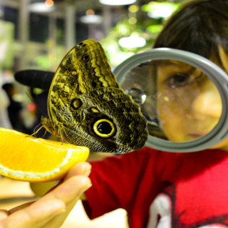 Things to Do in Bergen County Week of January 12