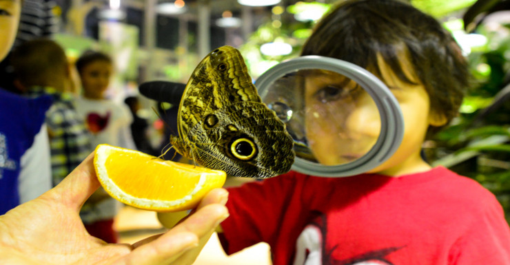 Things to Do in Bergen County Week of January 12