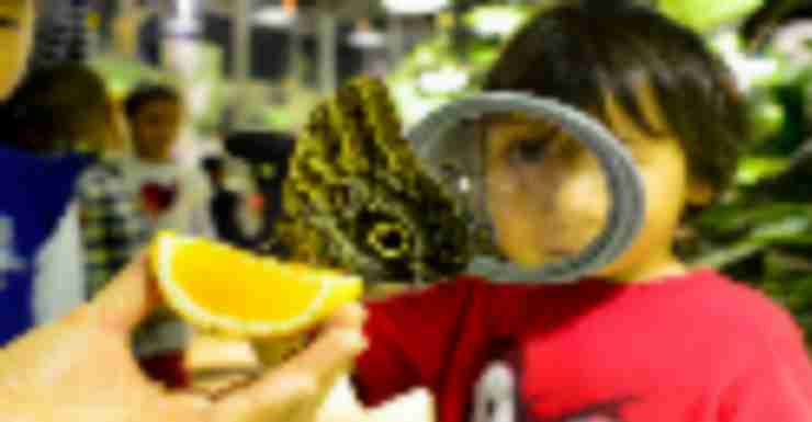 Things to Do in Bergen County Week of January 12