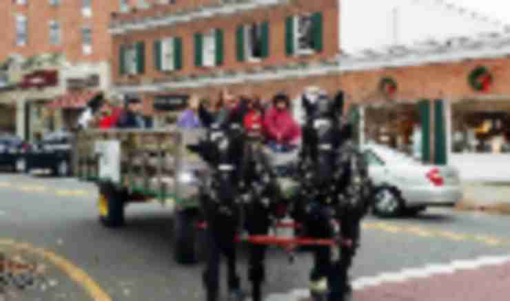 Things to Do in Bergen County Week of November 27