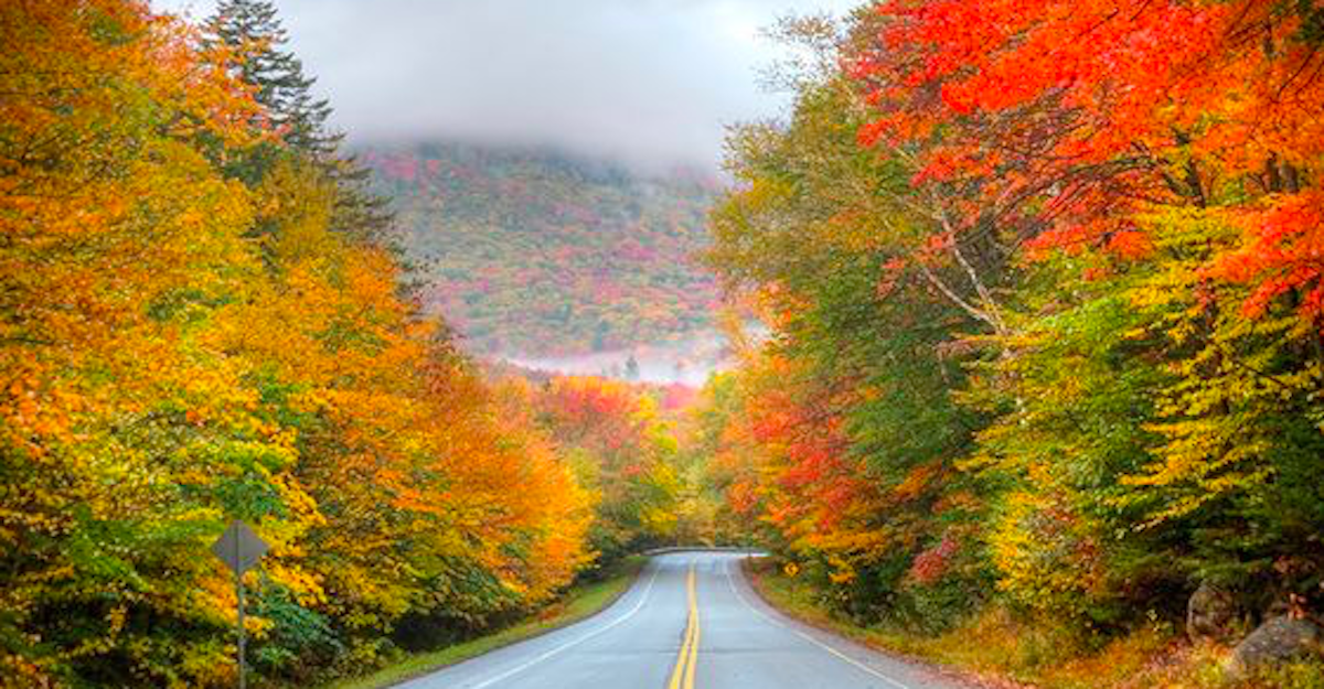 Discover Fall Beauty With a Day Trip Near Bergen County | | Bergen ...