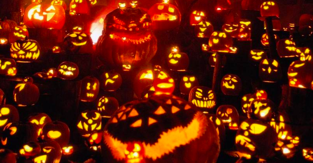 Pumpkin World Lights up Rockland County for Halloween