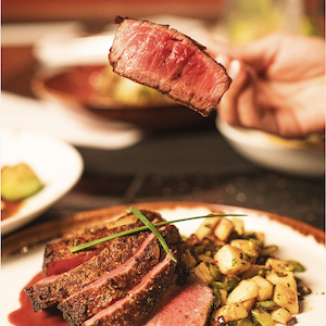 Toba Restaurant Food